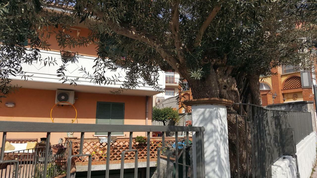 Loft Karol Taormina Apartment